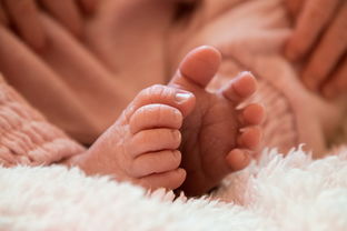 宝宝白细胞偏高是细菌感染还是病毒_
